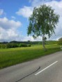 /album/landschaft/img-20130524-wa0001-jpg/